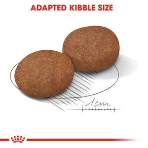 ROYAL CANIN® Medium Adult 7+ 15kg